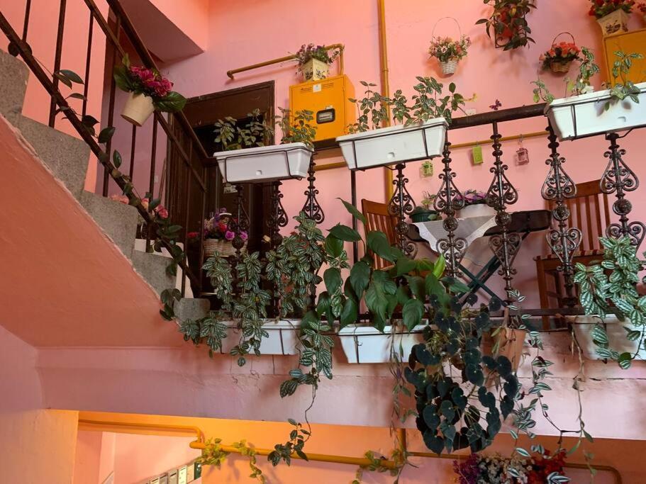Apartment Austrogarski Tamariz *
